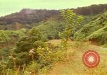 Image of flowers Honolulu Hawaii USA, 1967, second 9 stock footage video 65675065914