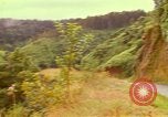 Image of flowers Honolulu Hawaii USA, 1967, second 10 stock footage video 65675065914