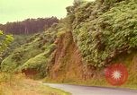 Image of flowers Honolulu Hawaii USA, 1967, second 12 stock footage video 65675065914