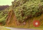 Image of flowers Honolulu Hawaii USA, 1967, second 14 stock footage video 65675065914