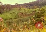 Image of flowers Honolulu Hawaii USA, 1967, second 23 stock footage video 65675065914
