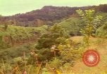 Image of flowers Honolulu Hawaii USA, 1967, second 24 stock footage video 65675065914