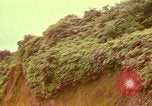 Image of flowers Honolulu Hawaii USA, 1967, second 27 stock footage video 65675065914