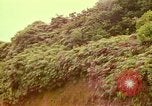 Image of flowers Honolulu Hawaii USA, 1967, second 28 stock footage video 65675065914
