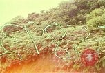 Image of flowers Honolulu Hawaii USA, 1967, second 29 stock footage video 65675065914