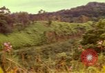 Image of flowers Honolulu Hawaii USA, 1967, second 41 stock footage video 65675065914