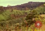 Image of flowers Honolulu Hawaii USA, 1967, second 42 stock footage video 65675065914