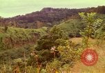 Image of flowers Honolulu Hawaii USA, 1967, second 43 stock footage video 65675065914
