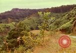 Image of flowers Honolulu Hawaii USA, 1967, second 44 stock footage video 65675065914