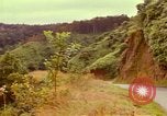 Image of flowers Honolulu Hawaii USA, 1967, second 45 stock footage video 65675065914