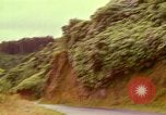 Image of flowers Honolulu Hawaii USA, 1967, second 47 stock footage video 65675065914