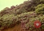 Image of flowers Honolulu Hawaii USA, 1967, second 50 stock footage video 65675065914
