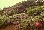 Image of flowers Honolulu Hawaii USA, 1967, second 54 stock footage video 65675065914
