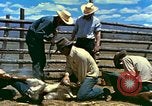 Standbild diverse American Jobs durchgeführt in 1950s United States USA, 1958, aus Sekunde 26 historischem Filmmaterial Videoclip 65675065927