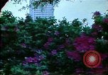 Standbild skyscraper New Orleans Louisiana USA, 1978, aus Sekunde 26 historischem Filmmaterial Videoclip 65675065932