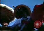 Standbild Louisiana Heritage Fair New Orleans Louisiana USA, 1978, aus Sekunde 14 historischem Filmmaterial Videoclip 65675065937