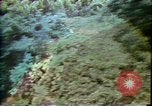 Standbild Landschaft Hawaii USA, 1978, aus Sekunde 13 historischem Filmmaterial Videoclip 65675065939