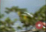 Standbild Strand Maui Hawaii United States USA, 1978, aus Sekunde 12 historischem Filmmaterial Videoclip 65675065940