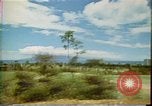 Standbild Strand Maui Hawaii United States USA, 1978, aus Sekunde 17 historischem Filmmaterial Videoclip 65675065941