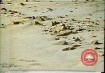 Immagine di vista aerea di Molokai Moloka‘i Hawaii United States USA, 1978, secondo 3 filmato di repertorio 65675065942