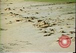 Immagine di vista aerea di Molokai Moloka‘i Hawaii United States USA, 1978, secondo 4 filmato di repertorio 65675065942