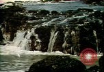 Immagine di vista aerea di Molokai Moloka‘i Hawaii United States USA, 1978, secondo 22 filmato di repertorio 65675065942