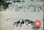Immagine di vista aerea di Molokai Moloka‘i Hawaii United States USA, 1978, secondo 26 filmato di repertorio 65675065942