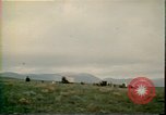 Immagine di Vacanze Colorado United States USA, 1978, secondo 31 filmato di repertorio 65675065943