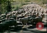 Immagine di Sport Colorado United States USA, 1978, secondo 39 filmato di repertorio 65675065944