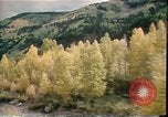 Immagine di Miniere di argento Colorado United States USA, 1978, secondo 18 filmato di repertorio 65675065945