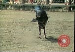 Standbild Rodeo Colorado United States USA, 1978, aus Sekunde 7 historischem Filmmaterial Videoclip 65675065946
