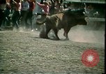 Standbild Rodeo Colorado United States USA, 1978, aus Sekunde 61 historischem Filmmaterial Videoclip 65675065946