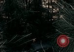 Image of 23rd Infantry Division Vietnam, 1971, second 37 stock footage video 65675065957