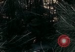Image of 23rd Infantry Division Vietnam, 1971, second 39 stock footage video 65675065957