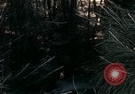 Image of 23rd Infantry Division Vietnam, 1971, second 40 stock footage video 65675065957