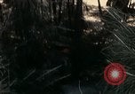 Image of 23rd Infantry Division Vietnam, 1971, second 43 stock footage video 65675065957
