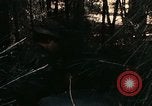 Image of 23rd Infantry Division Vietnam, 1971, second 49 stock footage video 65675065957