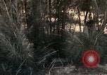 Image of 23rd Infantry Division Vietnam, 1971, second 53 stock footage video 65675065957