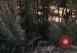 Image of 23rd Infantry Division Vietnam, 1971, second 54 stock footage video 65675065957