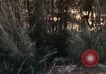 Image of 23rd Infantry Division Vietnam, 1971, second 55 stock footage video 65675065957