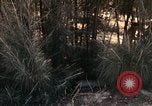 Image of 23rd Infantry Division Vietnam, 1971, second 56 stock footage video 65675065957