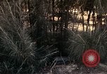 Image of 23rd Infantry Division Vietnam, 1971, second 57 stock footage video 65675065957