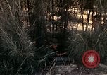 Image of 23rd Infantry Division Vietnam, 1971, second 59 stock footage video 65675065957