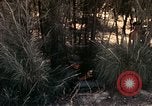 Image of 23rd Infantry Division Vietnam, 1971, second 60 stock footage video 65675065957