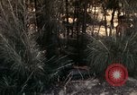 Image of 23rd Infantry Division Vietnam, 1971, second 61 stock footage video 65675065957