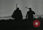 Immagine di Gli uccelli United States USA, 1955, secondo 5 filmato di repertorio 65675065963