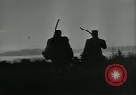Immagine di Gli uccelli United States USA, 1955, secondo 6 filmato di repertorio 65675065963