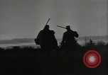 Immagine di Gli uccelli United States USA, 1955, secondo 7 filmato di repertorio 65675065963