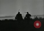 Immagine di Gli uccelli United States USA, 1955, secondo 8 filmato di repertorio 65675065963