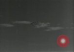 Immagine di Gli uccelli United States USA, 1955, secondo 13 filmato di repertorio 65675065963